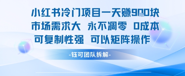 小红书冷门项目一天收益9张，市场需求大，0成本，可复制性强可以矩阵操作 - 副业心选-副业心选