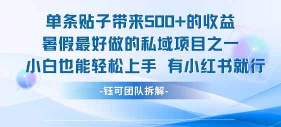 单条贴子带来5张的收益，暑假最好做的私域项目之一，小白也能轻松上手，有小红书就行-副业心选
