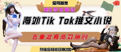 海外tiktok小说推文暴力项目，高停留率，高转化率，上手后一天搞顿饭钱不是问题 - 副业心选-副业心选