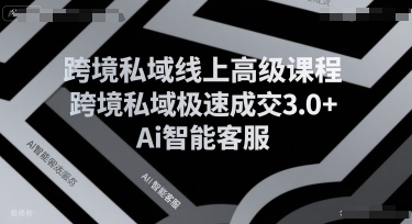 跨境私域线上高级课程，跨境私域极速成交3.0+Ai智能客服 - 副业心选-副业心选