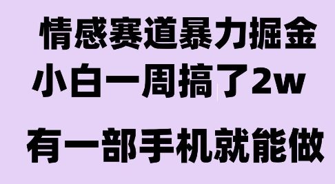 情感暴力掘金项目，新人操作一周挣了2W，长期稳定小白可做【揭秘】-副业心选