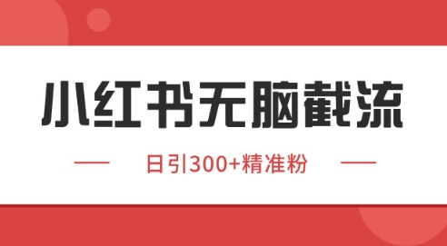 小红书截流同行客源，独家野路子获客玩法 日引200+暴力获客【揭秘】-副业心选