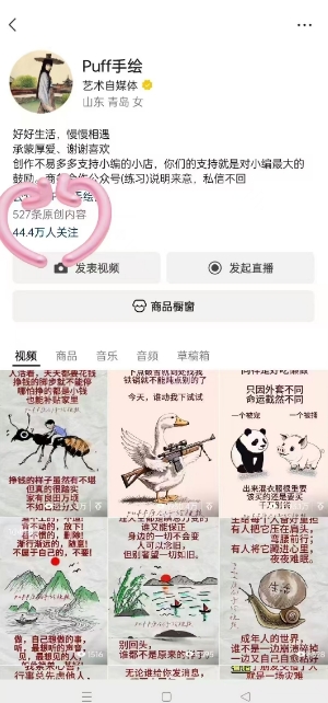 图片[2]-Puff手绘视频号分成项目，三天过分成计划，简单易上手，适合新手 - 副业心选-副业心选