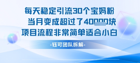 每天稳定引流30个人 当月变成超过了4个W项目流程非常简单适合小白-副业心选