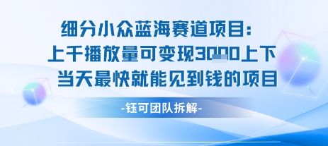 小众蓝海赛道项目：当天变现1k+适合新手操作 +适合长期玩-副业心选