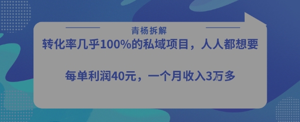 转化率最高的私域项目，每单利润40-50米，月入过1w-副业心选