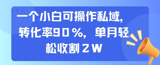 一个小白可操作私域，转化率90%，单月轻松收割2W-副业心选