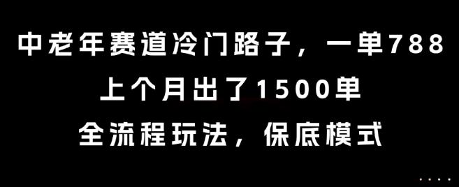 中老年赛道冷门路子，一单788，上个月出了1500单，全流程玩法，保底模式【揭秘】-副业心选