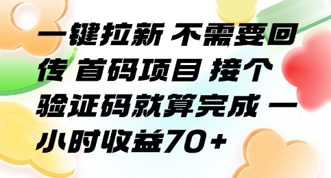一键拉新 不需要回传 首码项目 接个验证码就算完成 一小时收益70+【揭秘】-副业心选
