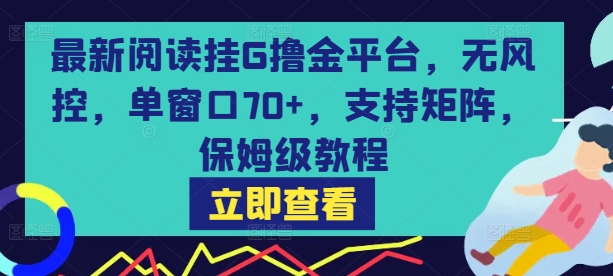 最新阅读挂G撸金平台，无风控，单窗口70+，支持矩阵，保姆级教程【揭秘】-副业心选