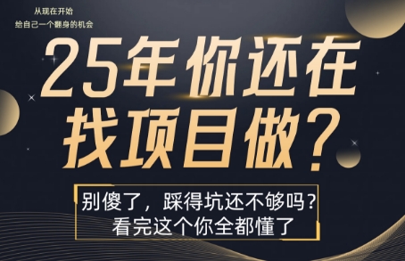 25年，你还在疯狂的找项目吗？别傻了，看完这个你都懂了【揭秘】 - 副业心选-副业心选