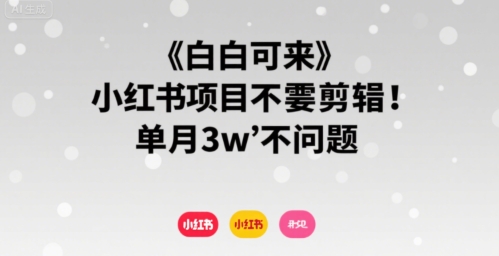 小白可来 小红书项目不需要剪辑 单月3w不是问题 - 副业心选-副业心选