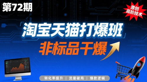 淘宝天猫打爆班原创高阶技术第72期，非标品干爆-副业心选
