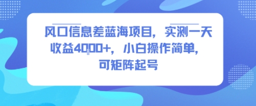 风口信息差蓝海项目，实测一天收益4k+，小白操作简单，可矩阵起号-副业心选