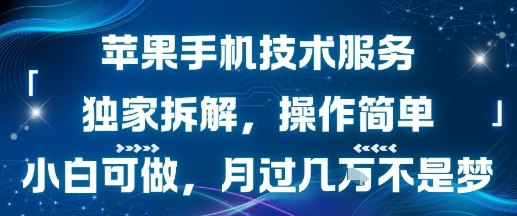 苹果手机技术服务，独家拆解，操作简单，小白可做，月过1W不是梦-副业心选