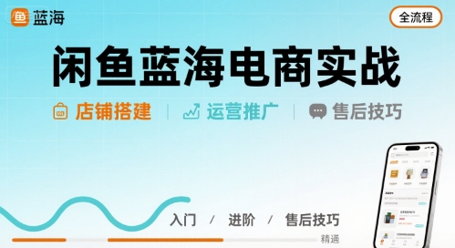 闲鱼蓝海电商实战，店铺搭建运营售后全流程-副业心选