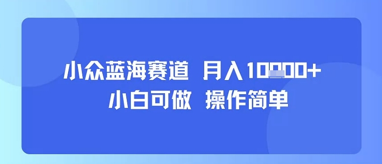 小众蓝海赛道，小白可做，操作简单，每天30分钟，月入1W+-副业心选