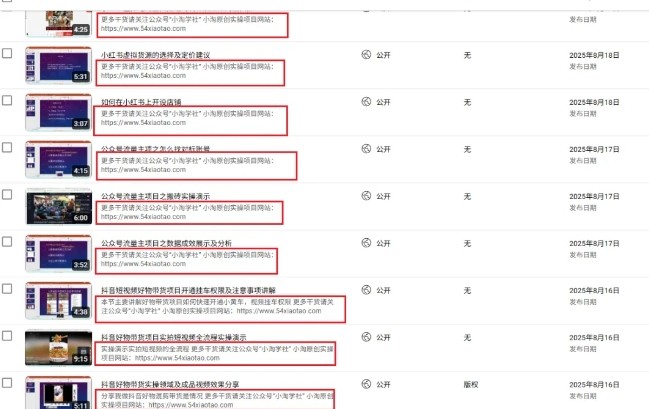 图片[2]-2025油管引流术，分享我是如何通过油管做引流的 - 副业心选-副业心选