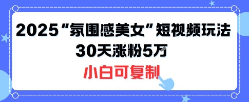 不露脸也能火！2025“氛围感美女”短视频玩法，30天涨粉5W小白可复制-副业心选