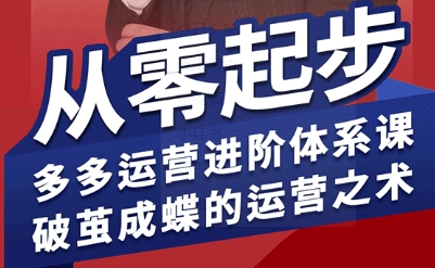 拼多多运营进阶系统课，从零起步，多多运营进阶体系课，破茧成蝶的运营之术-副业心选