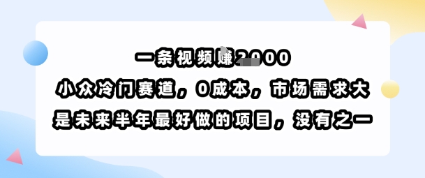 一条视频挣1k，小众冷门赛道，0成本，市场需求大，是未来半年最好做的项目，没有之一-副业心选