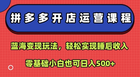 拼多多开店运营课程：蓝海变现玩法，轻松实现睡后收入，零基础小白也可日入5张-副业心选