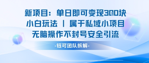 新项目单日即可变现3张的小白玩法无脑操作不封号安全引流-副业心选