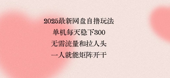 2025最新网盘自撸玩法，单机每天稳下3张，无需流量和拉人头，一个人就可轻松矩阵，全网独一份【揭秘】-副业心选