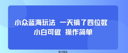 小众蓝海玩法 一天搞了四位数 小白可做 操作简单-副业心选
