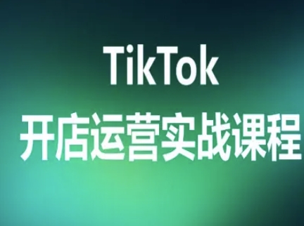 TikTok开店运营实战课程，TK跨境电商实操全流程 - 副业心选-副业心选