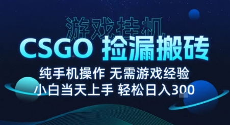 8月最新游戏搬砖，CSGO纯挂G，不需要玩游戏，实现真挂G，月入1W+【揭秘】 - 副业心选-副业心选