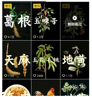 图片[2]-抖音中草药赛道，用AI做中草药故事视频，45条作品涨粉13W，橱窗带货猛猛出单 - 副业心选-副业心选