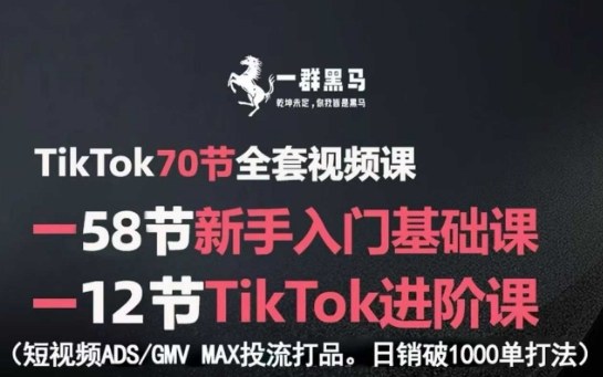 TikTok全套视频课，新手入门+进阶课，短视频ADS-GMV MAX投流打品，日销破1000单打法 - 副业心选-副业心选