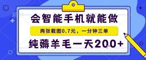 手机项目，二十秒一单，纯薅羊毛一天2张+做就有【揭秘】-副业心选