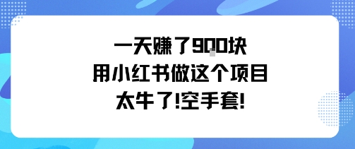 一天挣了9张用小红书做这个项目太牛了，空手套-副业心选