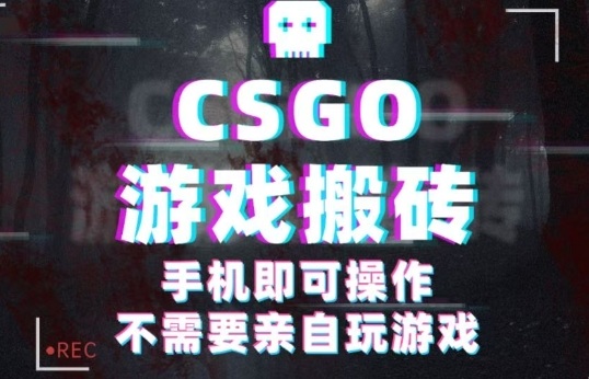 CSGO游戏挂G捡漏，单日扫货5张+，年底小高峰上车可吃肉，手机即可操作，兼职副业创业网创【揭秘】-副业心选