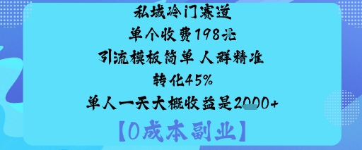私域冷门赛道:单个收费198米引流模板简单人群精准转化45%单人一天大概收益是1k+-副业心选