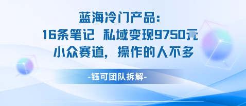 蓝海项目：16条笔记私域变现9750米小众赛道操作的人不多-副业心选