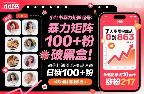 小红书暴力矩阵起号，教你打通引流-变现速通，日锁100+粉，破流量黑盒 - 副业心选-副业心选