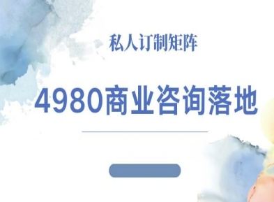 4980商业咨询师落地课程-ip运营高客单教程-副业心选