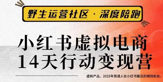 小红书虚拟电商14天变现训练营3.0，​虚拟产品，2025年普通人在小红书最后的搞钱机会 - 副业心选-副业心选