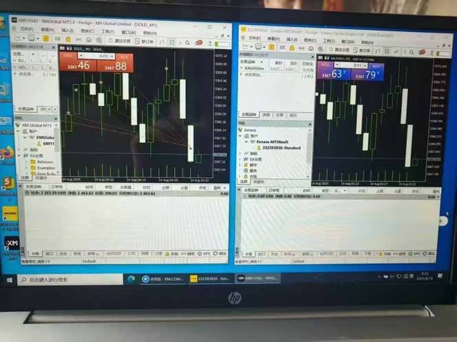 图片[6]-美金对冲创业项目，日收益1000-3000，小众暴力项目稳定运行8年 - 副业心选-副业心选