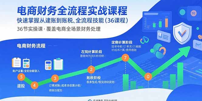 电商财务全流程实战课程：快速掌握从建账到报税的全流程技能(36节课-副业心选