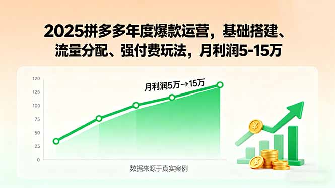 2025拼多多年度爆款运营，基础搭建、流量分配、强付费玩法，月利润5-15万-副业心选