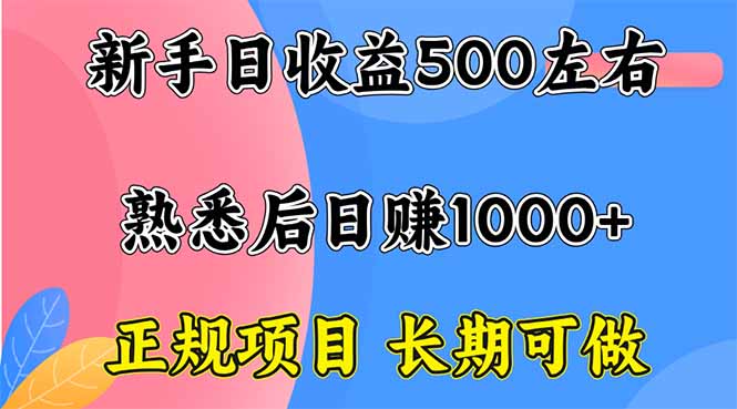 新手日收益500+ 正规项目 长期可做-副业心选