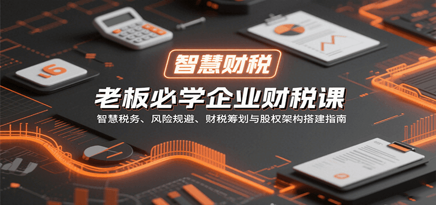 老板必学企业财税课：智慧税务、风险规避、财税筹划与股权架构搭建指南-副业心选