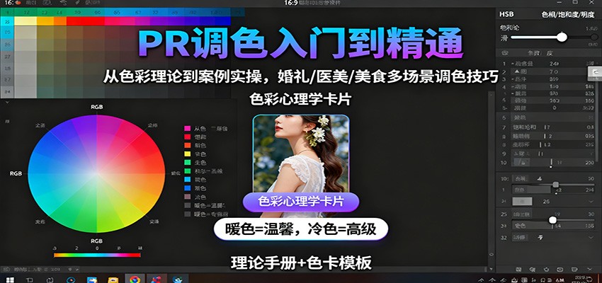 PR调色入门到精通：从色彩理论到案例实操，婚礼/医美/美食多场景调色技巧-副业心选