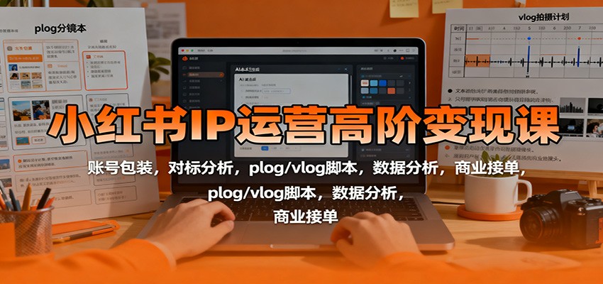 小红书IP运营高阶变现课：账号包装，对标分析，plog/vlog脚本，数据分析，商业接单-副业心选