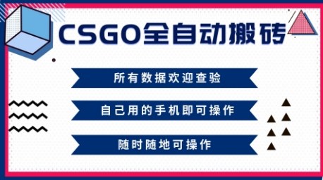 CSGO全自动搬砖，年底钱回家好项目，当天可拿到结果，新手小白轻松月入1W+【揭秘】-副业心选