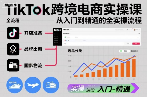 TikTok跨境电商实操课，从入门到精通的全实操流程 - 副业心选-副业心选